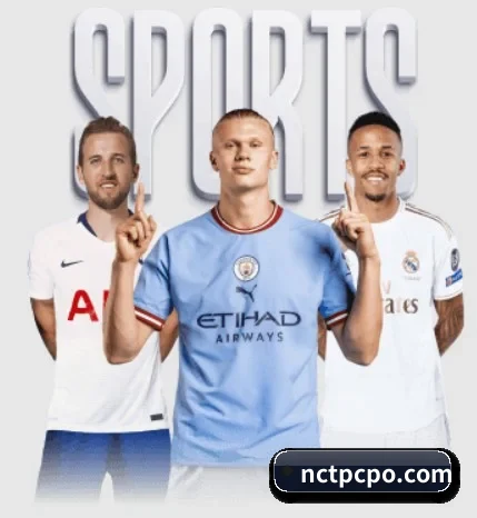 五大服务分区,信息按项目分类 | STARSPORTS
